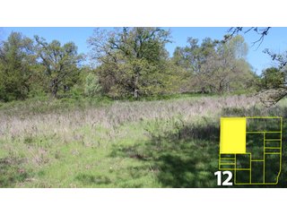 Property photo 57 - Major Tulsa Land Auction - 310 Acres in 20 Tracts - Date Change - October 21 at 6:30 PM