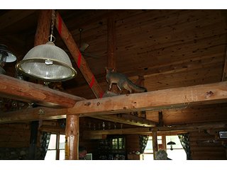 Property photo 59 - 36.73 +/- Acres Offered in 4 Tracts