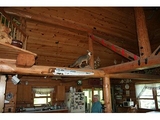 Property photo 38 - 36.73 +/- Acres Offered in 4 Tracts