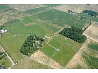 Property photo 7 - 213 +/- Acres Offered in 5 Tracts of Prime Tillable Land, Extraordinary Rural Ohio Real Estate Auction