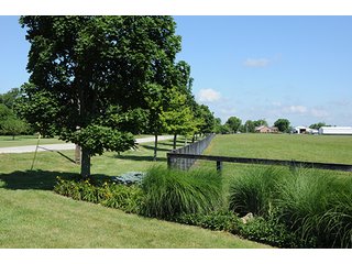 Property photo 48 - 213 +/- Acres Offered in 5 Tracts of Prime Tillable Land, Extraordinary Rural Ohio Real Estate Auction