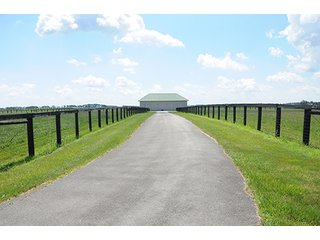 Property photo 49 - 213 +/- Acres Offered in 5 Tracts of Prime Tillable Land, Extraordinary Rural Ohio Real Estate Auction