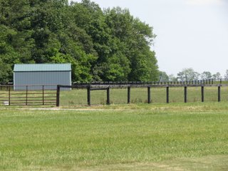 Property photo 53 - 213 +/- Acres Offered in 5 Tracts of Prime Tillable Land, Extraordinary Rural Ohio Real Estate Auction