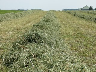 Property photo 18 - 213 +/- Acres Offered in 5 Tracts of Prime Tillable Land, Extraordinary Rural Ohio Real Estate Auction