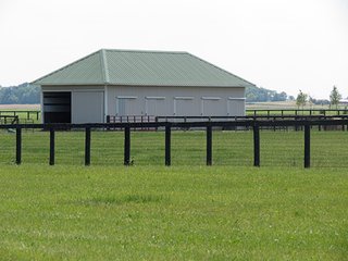Property photo 51 - 213 +/- Acres Offered in 5 Tracts of Prime Tillable Land, Extraordinary Rural Ohio Real Estate Auction