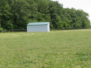 Property photo 57 - 213 +/- Acres Offered in 5 Tracts of Prime Tillable Land, Extraordinary Rural Ohio Real Estate Auction