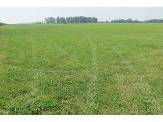 Tract 4 - 213 +/- Acres Offered in 5 Tracts of Prime Tillable Land, Extraordinary Rural Ohio Real Estate Auction