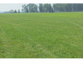 Tract 4 - 213 +/- Acres Offered in 5 Tracts of Prime Tillable Land, Extraordinary Rural Ohio Real Estate Auction