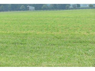 Tract 4 - 213 +/- Acres Offered in 5 Tracts of Prime Tillable Land, Extraordinary Rural Ohio Real Estate Auction