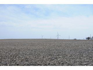 Property photo 4 - 343.5 +/- Acres Offered in 6 Tracts - Wilkinson Estate