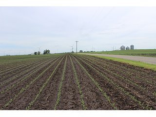 Property photo 7 - 343.5 +/- Acres Offered in 6 Tracts - Wilkinson Estate
