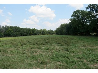 Pasture - Tract 9 - 712+/- Acres offered in 12 Tracts, Missouri Land Auction
