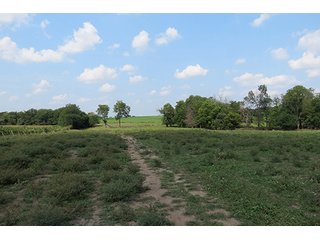 Pasture - Tract 9 - 712+/- Acres offered in 12 Tracts, Missouri Land Auction