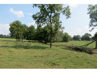 Pasture - Tract 9 - 712+/- Acres offered in 12 Tracts, Missouri Land Auction