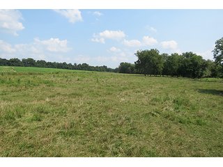 Pasture - Tract 9 - 712+/- Acres offered in 12 Tracts, Missouri Land Auction
