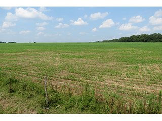 Cropland - Tract 9 - 712+/- Acres offered in 12 Tracts, Missouri Land Auction