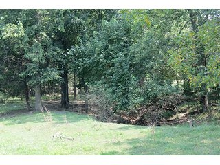 Pasture  - Tract 9 - 712+/- Acres offered in 12 Tracts, Missouri Land Auction