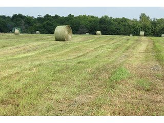 Hayfield - Tract 6 - 712+/- Acres offered in 12 Tracts, Missouri Land Auction