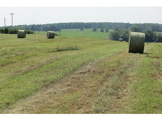 Hayfield - Tract 6 - 712+/- Acres offered in 12 Tracts, Missouri Land Auction