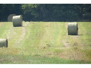 Hayfield  - Tract 6 - 712+/- Acres offered in 12 Tracts, Missouri Land Auction