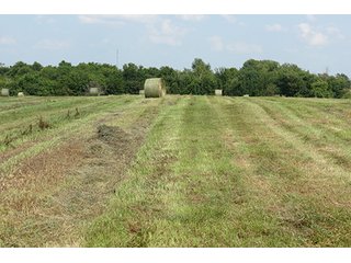 Hayfield - Tract 6 - 712+/- Acres offered in 12 Tracts, Missouri Land Auction