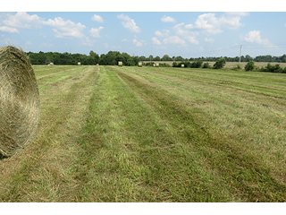 Hayfield - Tract 6 - 712+/- Acres offered in 12 Tracts, Missouri Land Auction