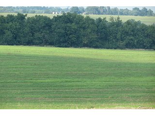 Cropland - Tract 7 - 712+/- Acres offered in 12 Tracts, Missouri Land Auction