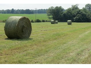 Hayfield - Tract 6 - 712+/- Acres offered in 12 Tracts, Missouri Land Auction