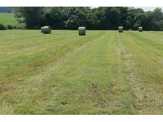 Hayfield - Tract 6 - 712+/- Acres offered in 12 Tracts, Missouri Land Auction