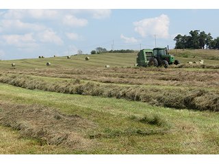 Hayfield - Tract 6 - 712+/- Acres offered in 12 Tracts, Missouri Land Auction