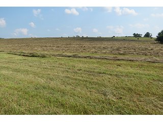 Hayfield - Tract 6 - 712+/- Acres offered in 12 Tracts, Missouri Land Auction