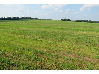 Cropland - Tract 7 - 712+/- Acres offered in 12 Tracts, Missouri Land Auction