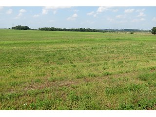 Cropland - Tract 7 - 712+/- Acres offered in 12 Tracts, Missouri Land Auction