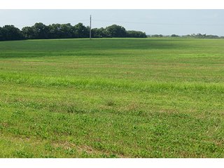 Cropland - Tract 7 - 712+/- Acres offered in 12 Tracts, Missouri Land Auction