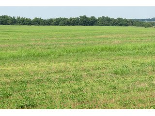 Cropland - Tract 7 - 712+/- Acres offered in 12 Tracts, Missouri Land Auction