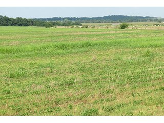 Cropland - Tract 7 - 712+/- Acres offered in 12 Tracts, Missouri Land Auction