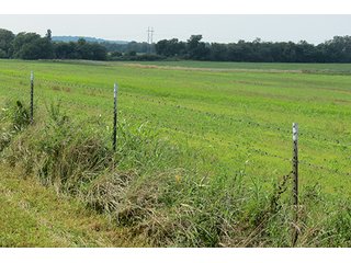 Cropland - Tract 7 - 712+/- Acres offered in 12 Tracts, Missouri Land Auction