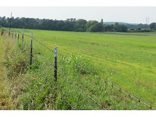 Cropland - Tract 7 - 712+/- Acres offered in 12 Tracts, Missouri Land Auction