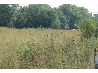 Pasture - Tract 5 - 712+/- Acres offered in 12 Tracts, Missouri Land Auction