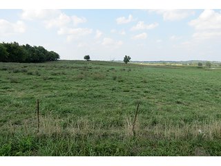 Pasture - Tract 5 - 712+/- Acres offered in 12 Tracts, Missouri Land Auction