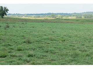 Pasture - Tract 5 - 712+/- Acres offered in 12 Tracts, Missouri Land Auction