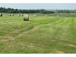 Hayfield - Tract 5 - 712+/- Acres offered in 12 Tracts, Missouri Land Auction