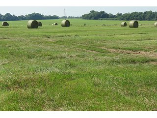 Hayfield - Tract 5 - 712+/- Acres offered in 12 Tracts, Missouri Land Auction