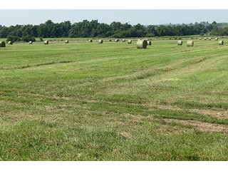 Hayfield - Tract 5 - 712+/- Acres offered in 12 Tracts, Missouri Land Auction
