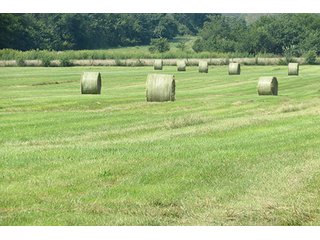 Hayfield - Tract 5 - 712+/- Acres offered in 12 Tracts, Missouri Land Auction