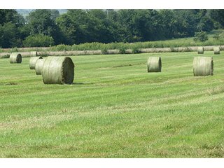 Hayfield - Tract 5 - 712+/- Acres offered in 12 Tracts, Missouri Land Auction
