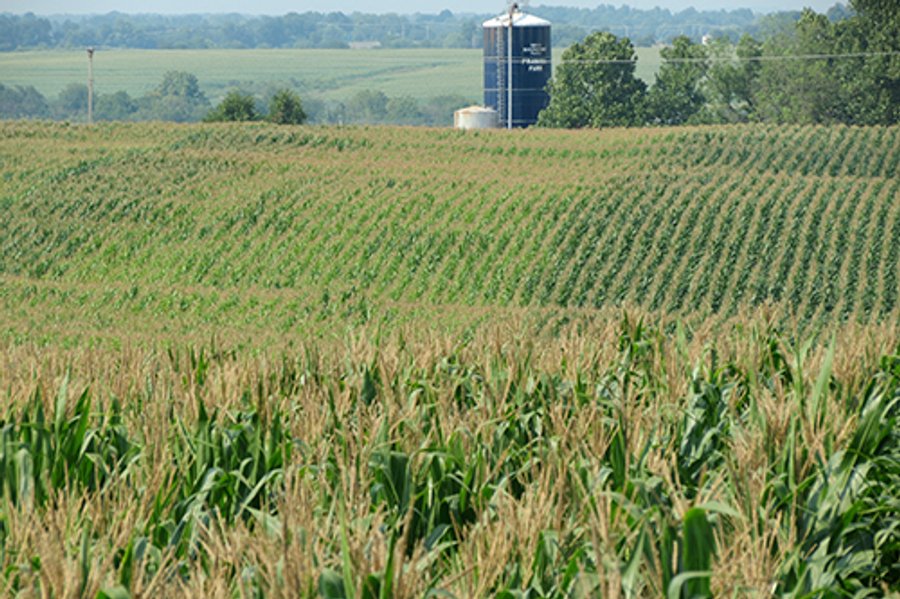 712+/- Acres offered in 12 Tracts, Missouri Land Auction