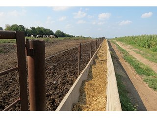 Pasture & Feed Lot - Tract 3 - 712+/- Acres offered in 12 Tracts, Missouri Land Auction