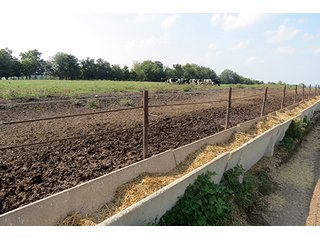 Pasture & Feed Lot - Tract 3 - 712+/- Acres offered in 12 Tracts, Missouri Land Auction