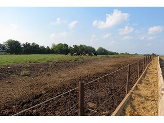 Pasture & Feed Lot - Tract 3 - 712+/- Acres offered in 12 Tracts, Missouri Land Auction